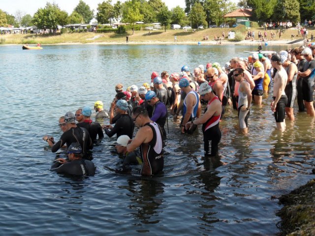 Dada_Rigolator_2011.3